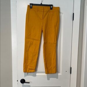 Vibrant Yellow Pants